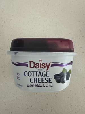 COTTAGE CHEESE WITH BLUEBERRIES, COTTAGE CHEESE