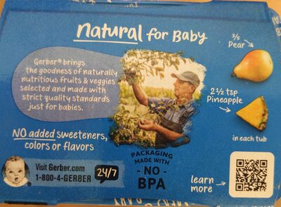 Gerber Pear Pineapple (Sitter)