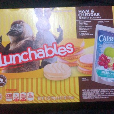 Kraft Heinz Foods Company HAM AND CHEDDAR CRACKER STACKERS KIT