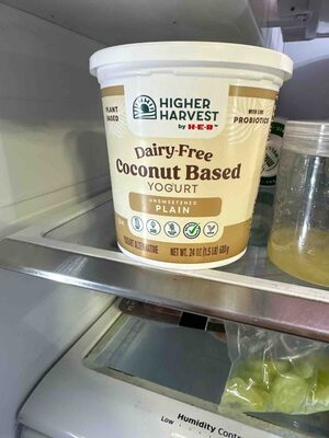 Dairy-free Coconut Based Yogurt