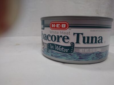 Albacore tuna in water