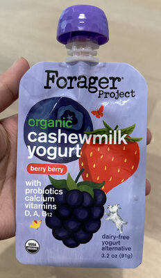 BERRY BERRY ORGANIC KIDS CASHEW MILK YOGURT, BERRY BERRY
