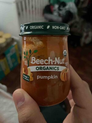 Organics just pumpkin stage baby food
