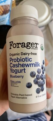 BLUEBERRY ORGANIC DAIRY-FREE PROBIOTIC CASHEWMILK YOGURT, BLUEBERRY