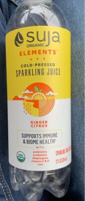 GINGER CITRUS COLD-PRESSED SPARKLING FRUIT JUICE DRINK, GINGER CITRUS